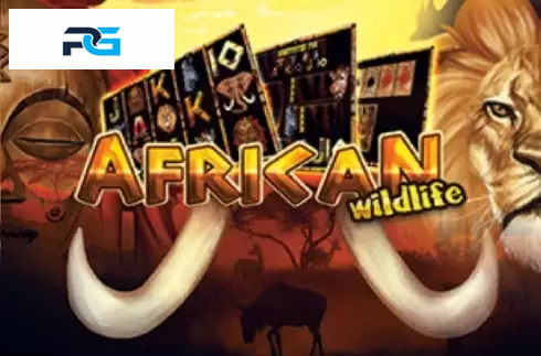 African Wildlife